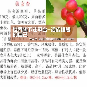 世界杯投注网