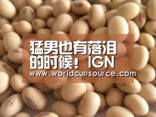 世界杯投注网