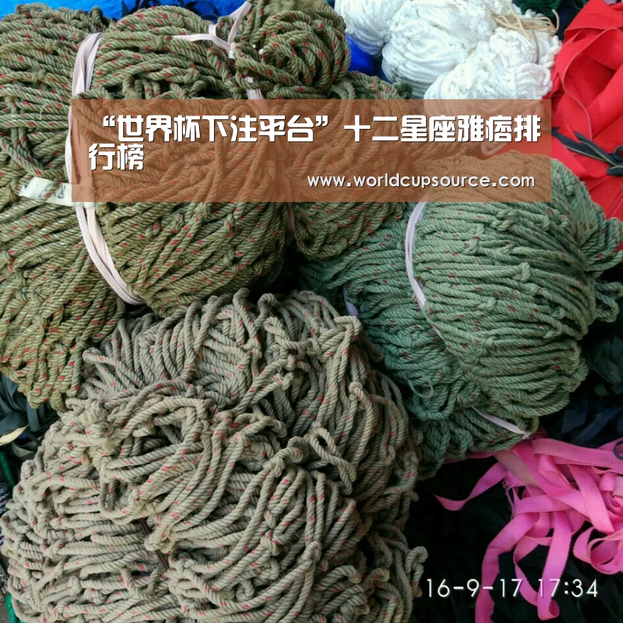 世界杯下注官网