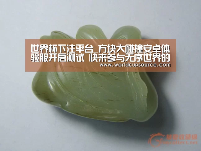 世界杯下注平台