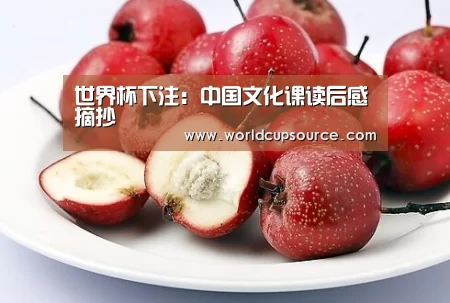 世界杯投注网