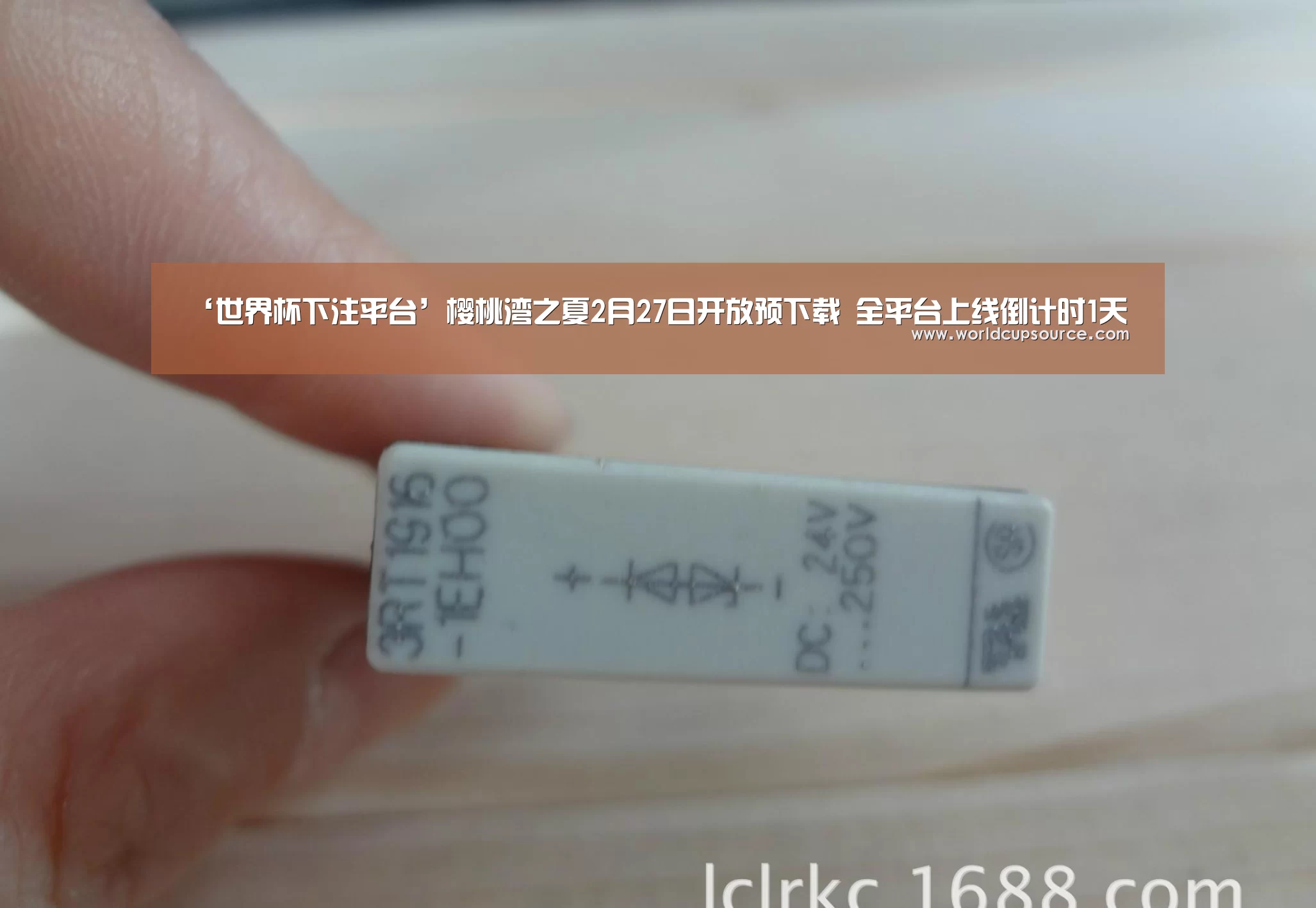 世界杯下注平台