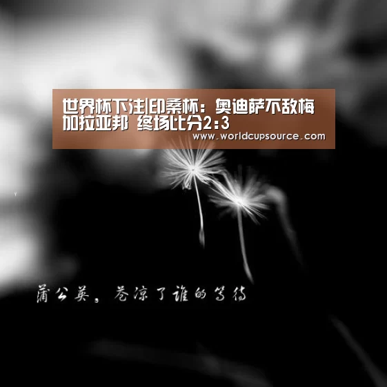 世界杯下注官网